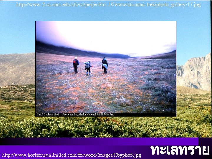 http: //www-2. cs. cmu. edu/afs/cs/project/lri-13/www/atacama-trek/photo_gallery/17. jpg ทะเลทราย(โอเอซส ( http: //www. horizonsunlimited. com/forwood/images/libypho 5. jpg