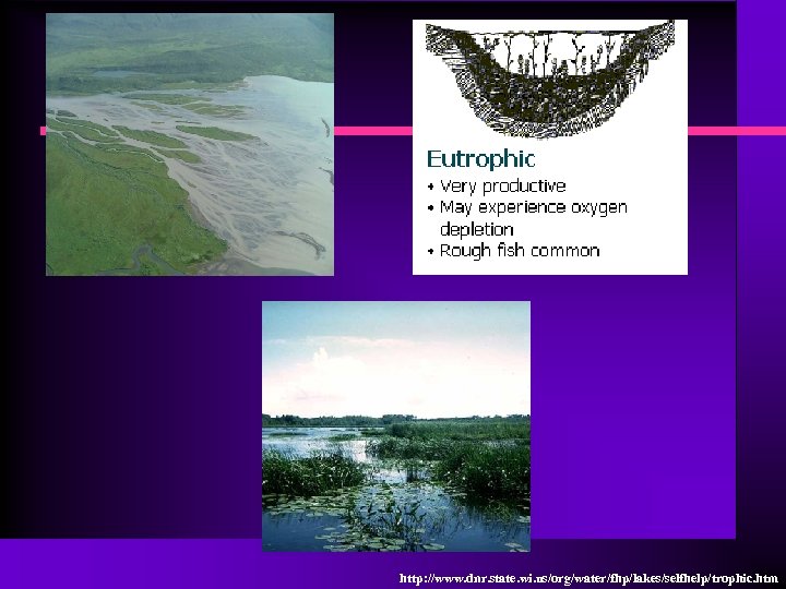 http: //www. dnr. state. wi. us/org/water/fhp/lakes/selfhelp/trophic. htm 