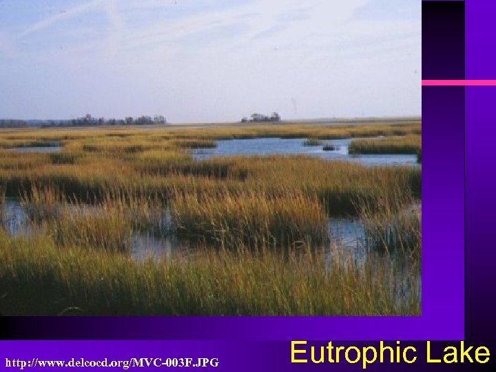 http: //www. delcocd. org/MVC-003 F. JPG Eutrophic Lake 