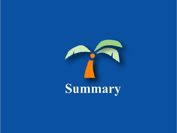 Summary 