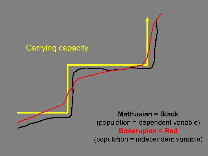 Carrying capacity Mathusian = Black (population = dependent variable) Boserupian = Red (population =