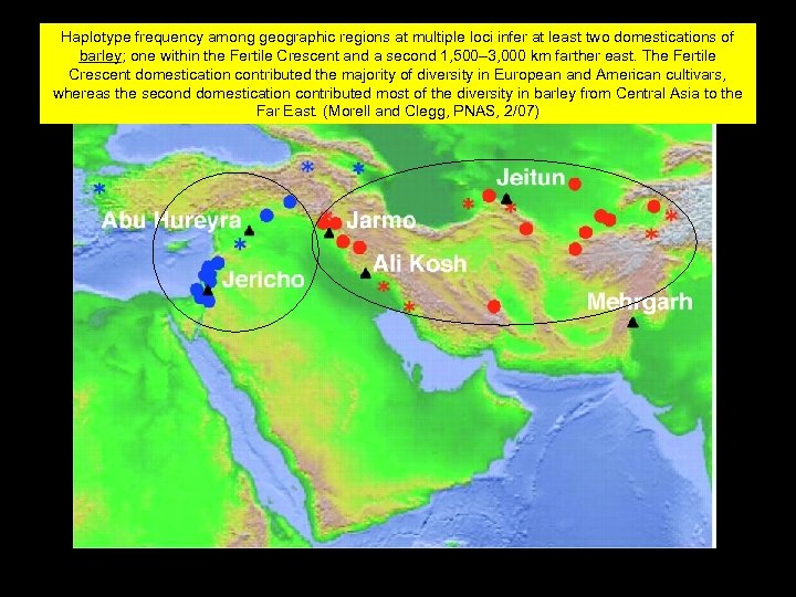 Haplotype frequency among geographic regions at multiple loci infer at least two domestications of