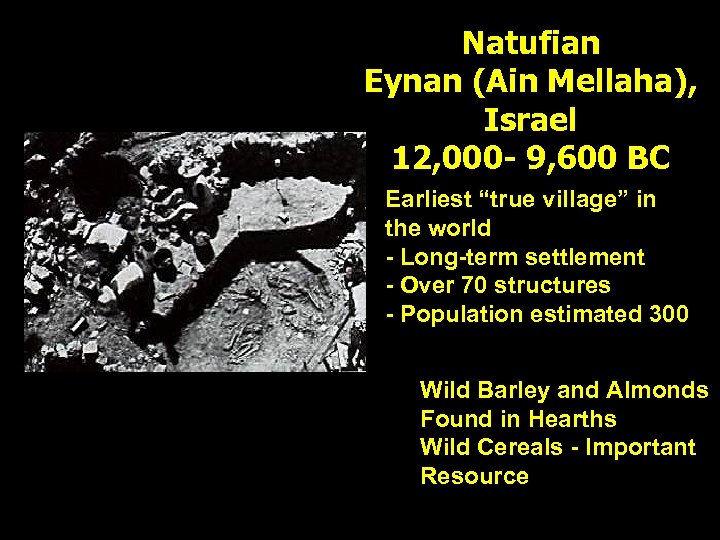 Natufian Eynan (Ain Mellaha), Israel 12, 000 - 9, 600 BC Earliest “true village”