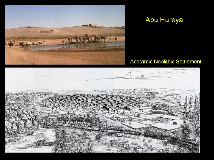 Abu Hureya Aceramic Neolithic Settlement 