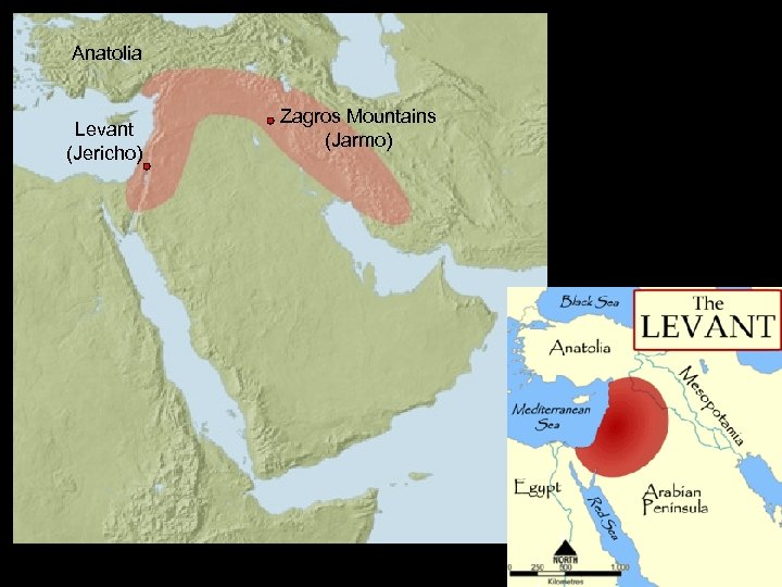 Anatolia Levant (Jericho) Zagros Mountains (Jarmo) 