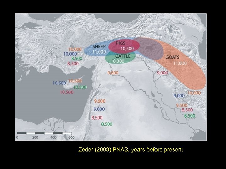 Zeder (2008) PNAS, years before present 