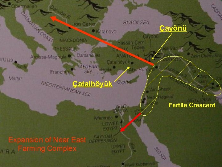 Çayönü Çatalhöyük Fertile Crescent Expansion of Near East Farming Complex 