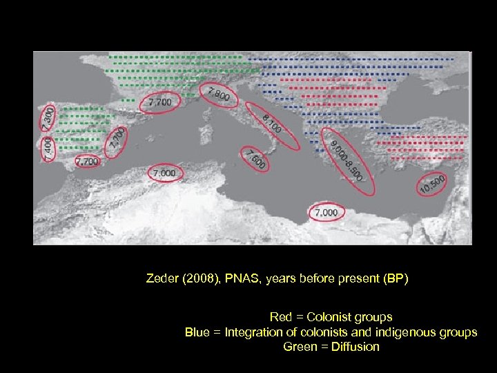 Zeder (2008), PNAS, years before present (BP) Red = Colonist groups Blue = Integration