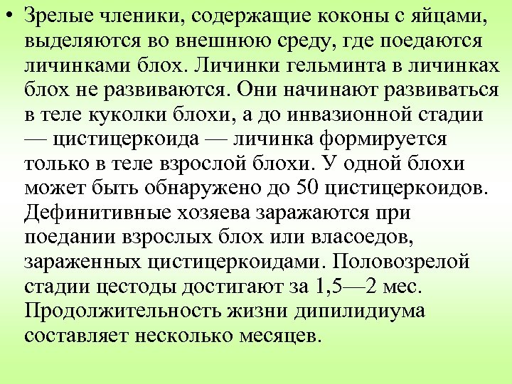  • Зрелые членики, содержащие коконы с яйцами, выделяются во внешнюю среду, где поедаются