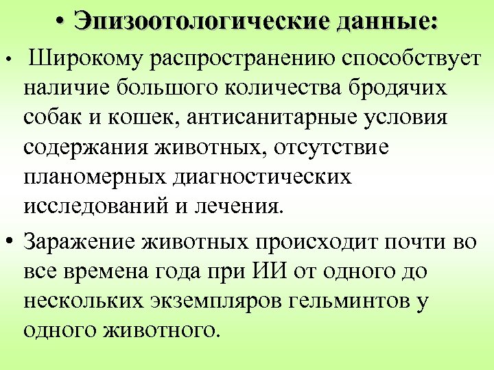  • Эпизоотологические данные: Широкому распространению способствует наличие большого количества бродячих собак и кошек,