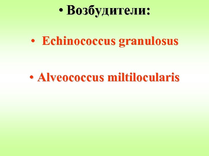  • Возбудители: • Echinococcus granulosus • Alveococcus miltilocularis 