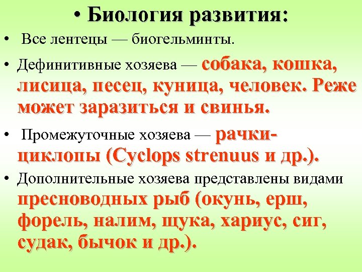  • Биология развития: • Все лентецы — биогельминты. • Дефинитивные хозяева — собака,