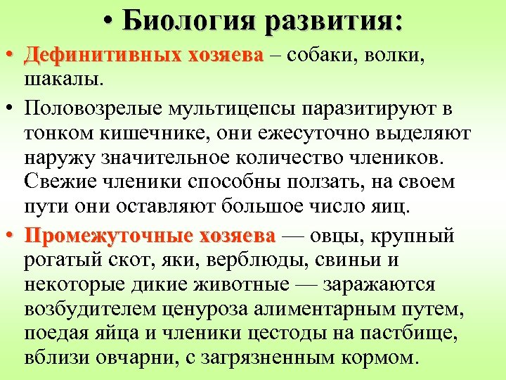  • Биология развития: • Дефинитивных хозяева – собаки, волки, шакалы. • Половозрелые мультицепсы