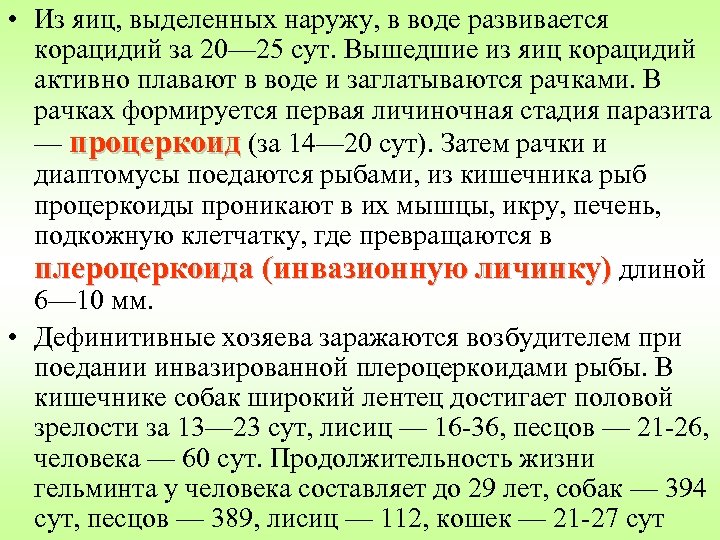  • Из яиц, выделенных наружу, в воде развивается корацидий за 20— 25 сут.