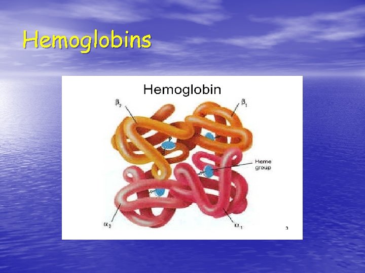 Hemoglobins 