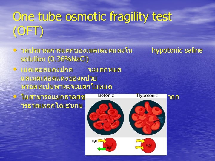 One tube osmotic fragility test (OFT) • วดปรมาณการแตกของเมดเลอดแดงใน • • hypotonic saline solution (0.