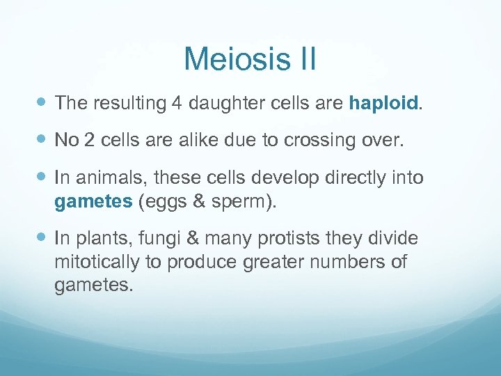 Meiosis II The resulting 4 daughter cells are haploid. No 2 cells are alike