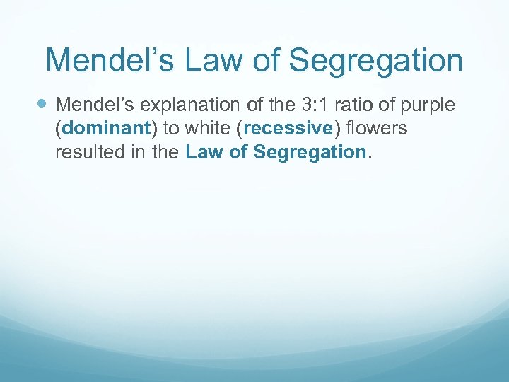 Mendel’s Law of Segregation Mendel’s explanation of the 3: 1 ratio of purple (dominant)