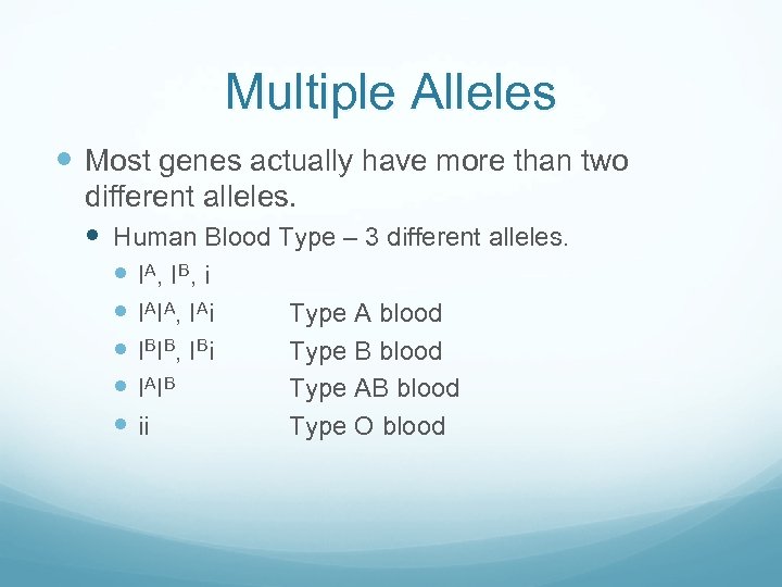 Multiple Alleles Most genes actually have more than two different alleles. Human Blood Type