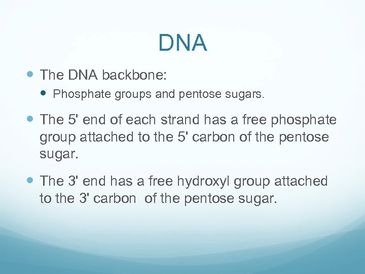 DNA The DNA backbone: Phosphate groups and pentose sugars. The 5' end of each