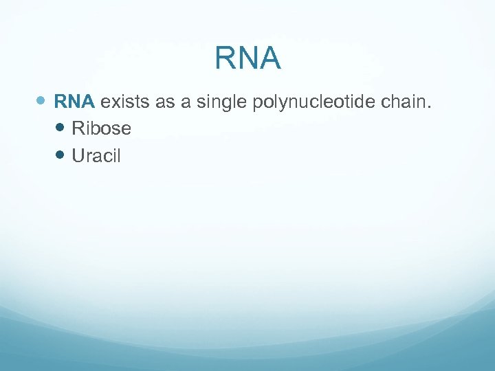 RNA exists as a single polynucleotide chain. Ribose Uracil 