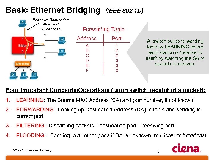 Basic Ethernet Bridging (IEEE 802. 1 D) Unknown Destination Multicast Broadcast Forwarding Table Address