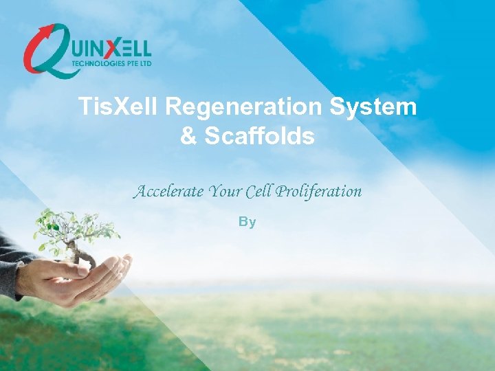 Tis. Xell Regeneration System & Scaffolds Accelerate Your Cell Proliferation By 