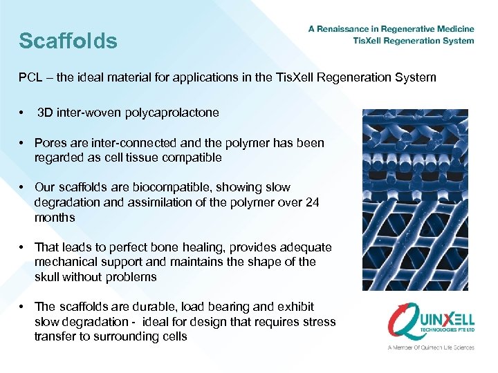 Scaffolds PCL – the ideal material for applications in the Tis. Xell Regeneration System