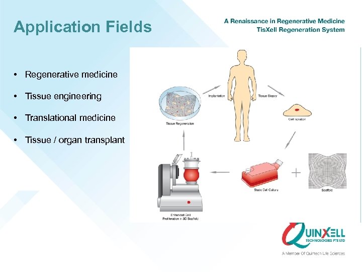 Application Fields • Regenerative medicine • Tissue engineering • Translational medicine • Tissue /