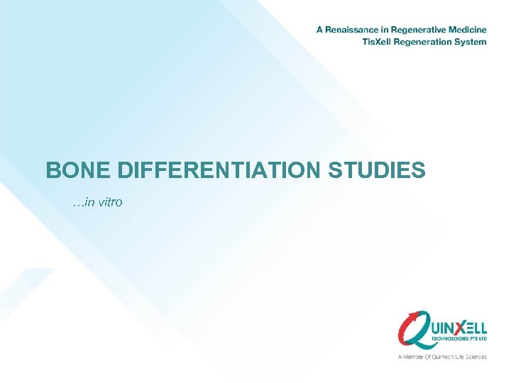 BONE DIFFERENTIATION STUDIES …in vitro 