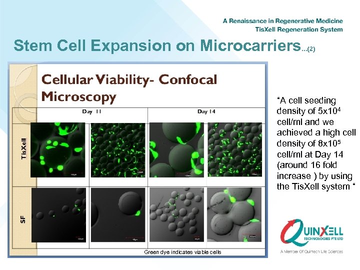 Stem Cell Expansion on Microcarriers …(2) “A cell seeding density of 5 x 104