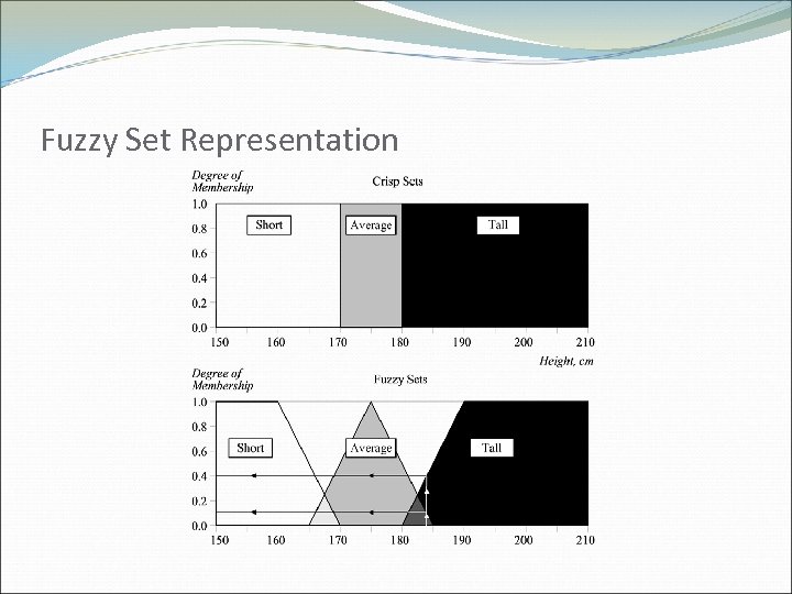 Fuzzy Set Representation 