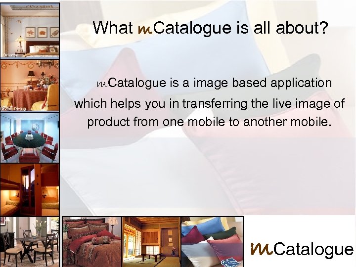 What m. Catalogue is all about? What catalog all about? m. Catalogue is a