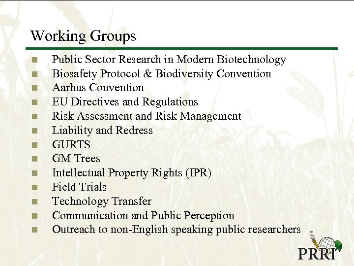 Working Groups n n n n Public Sector Research in Modern Biotechnology Biosafety Protocol
