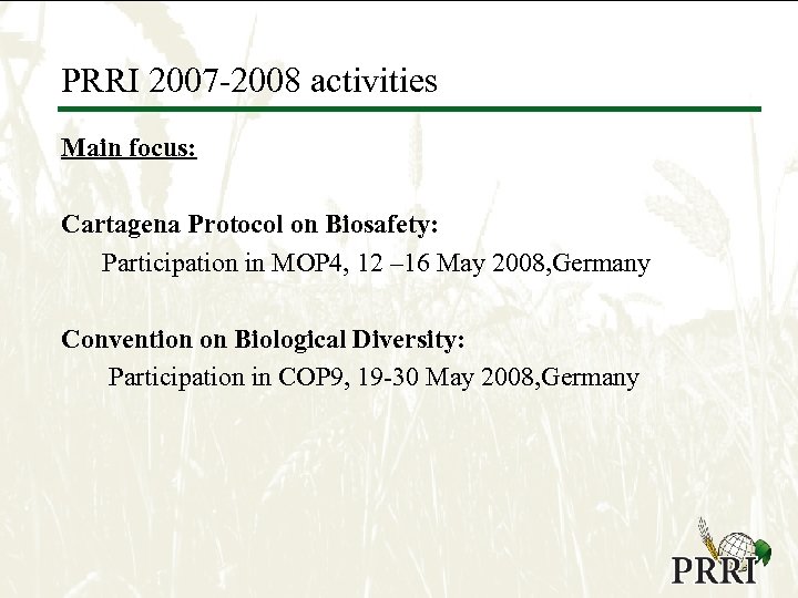 PRRI 2007 -2008 activities Main focus: Cartagena Protocol on Biosafety: Participation in MOP 4,