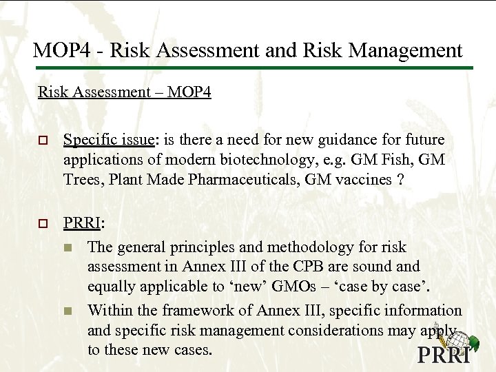 MOP 4 - Risk Assessment and Risk Management Risk Assessment – MOP 4 o
