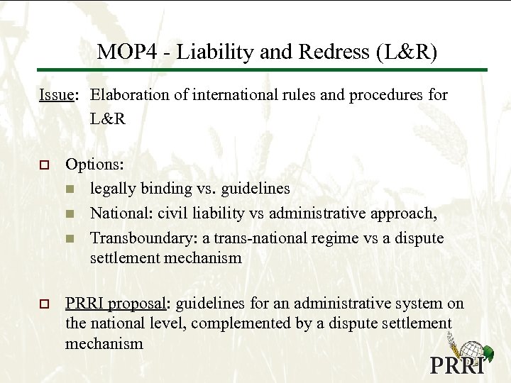 MOP 4 - Liability and Redress (L&R) Issue: Elaboration of international rules and procedures