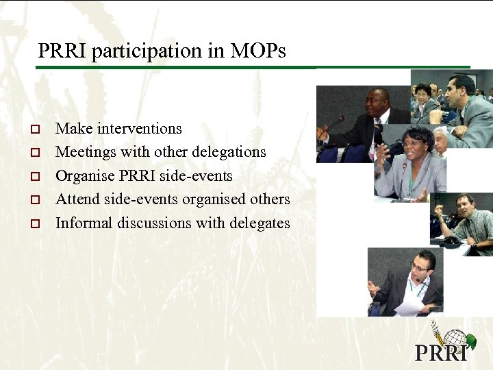 PRRI participation in MOPs o o o Make interventions Meetings with other delegations Organise