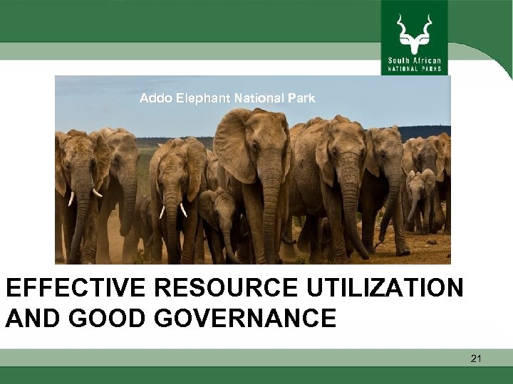 Addo Elephant National Park EFFECTIVE RESOURCE UTILIZATION AND GOOD GOVERNANCE 21 