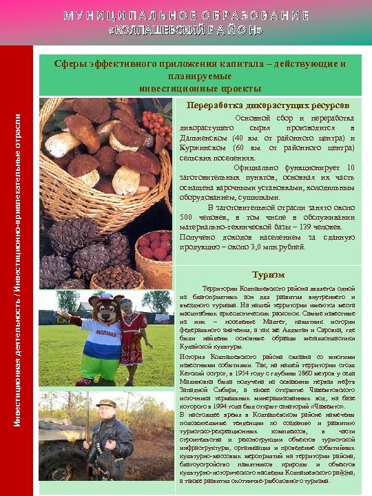 МУНИЦИПАЛЬНОЕ ОБРАЗОВАНИЕ «КОЛПАШЕВСКИЙ Р А Й О Н» Сферы эффективного приложения капитала – действующие