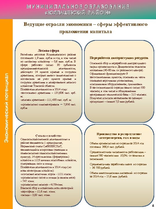 МУНИЦИПАЛЬНОЕ ОБРАЗОВАНИЕ «КОЛПАШЕВСКИЙ Р А Й О Н» Ведущие отрасли экономики – сферы эффективного