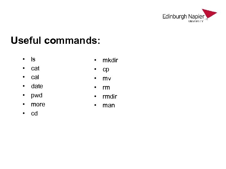 Useful commands: • • ls cat cal date pwd more cd • • •