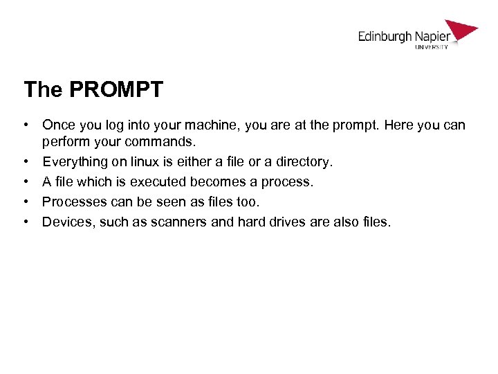 The PROMPT • Once you log into your machine, you are at the prompt.