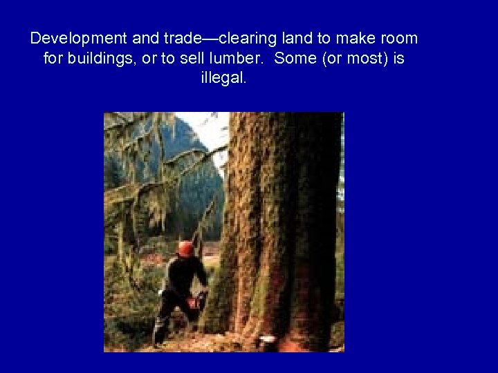 Development and trade—clearing land to make room for buildings, or to sell lumber. Some