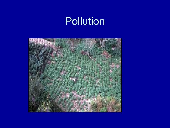 Pollution 