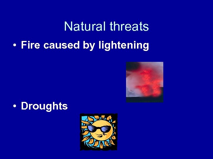 Natural threats • Fire caused by lightening • Droughts 