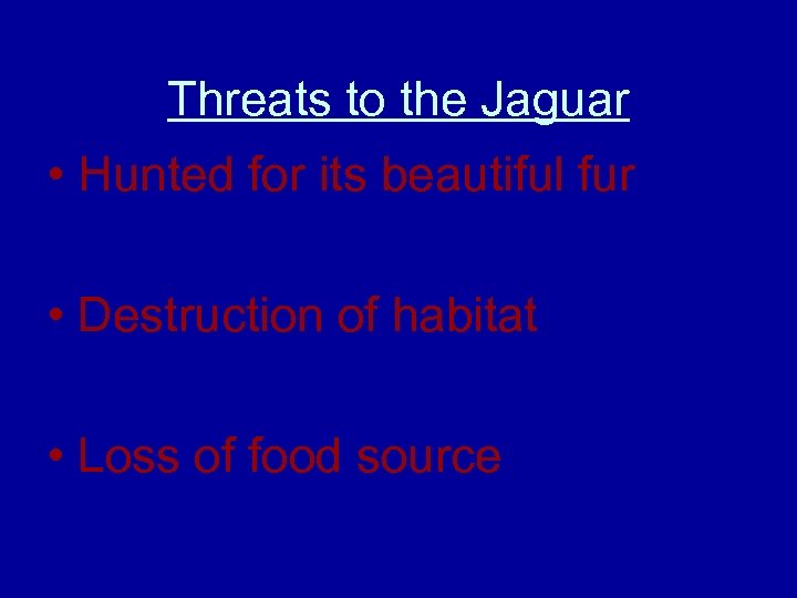 Threats to the Jaguar • Hunted for its beautiful fur • Destruction of habitat