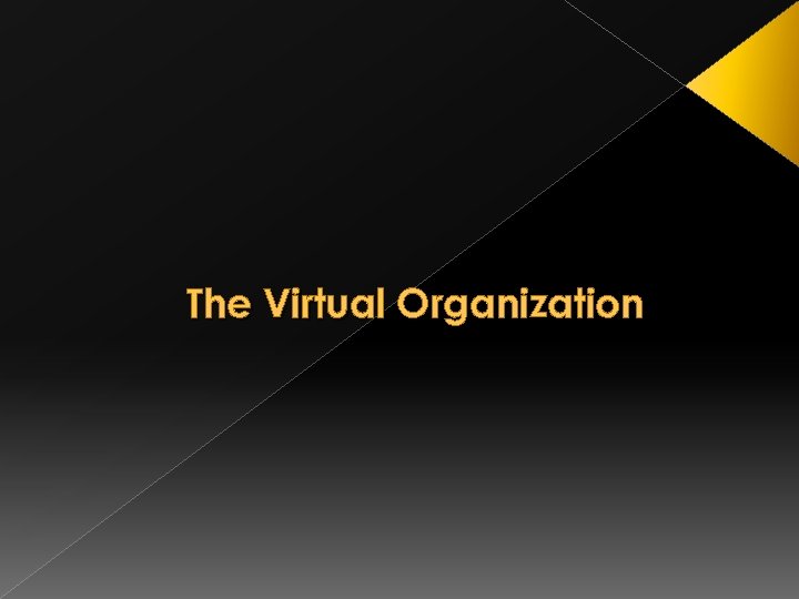 The Virtual Organization 