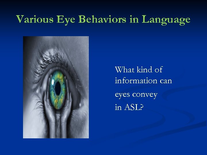 Various Eye Behaviors in Language What kind of information can eyes convey in ASL?