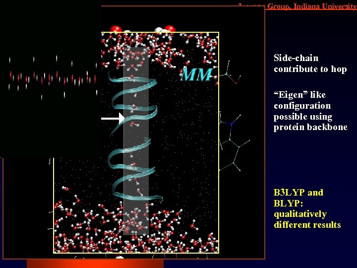 Iyengar Group, Indiana University Side-chain contribute to hop “Eigen” like configuration possible using protein